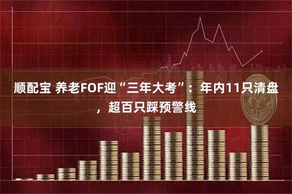 顺配宝 养老FOF迎“三年大考”：年内11只清盘，超百只踩预警线