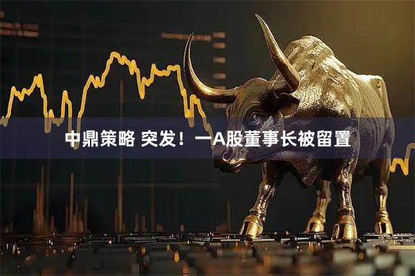 中鼎策略 突发！一A股董事长被留置