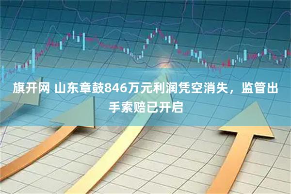 旗开网 山东章鼓846万元利润凭空消失，监管出手索赔已开启